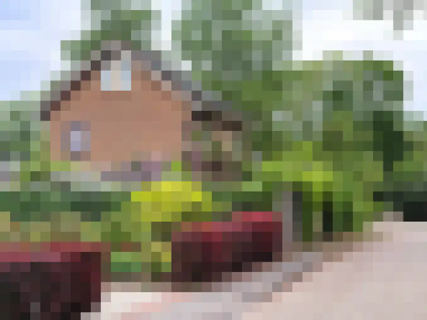 Laan van het Kwekebos 286 Emmen thumbnail 25