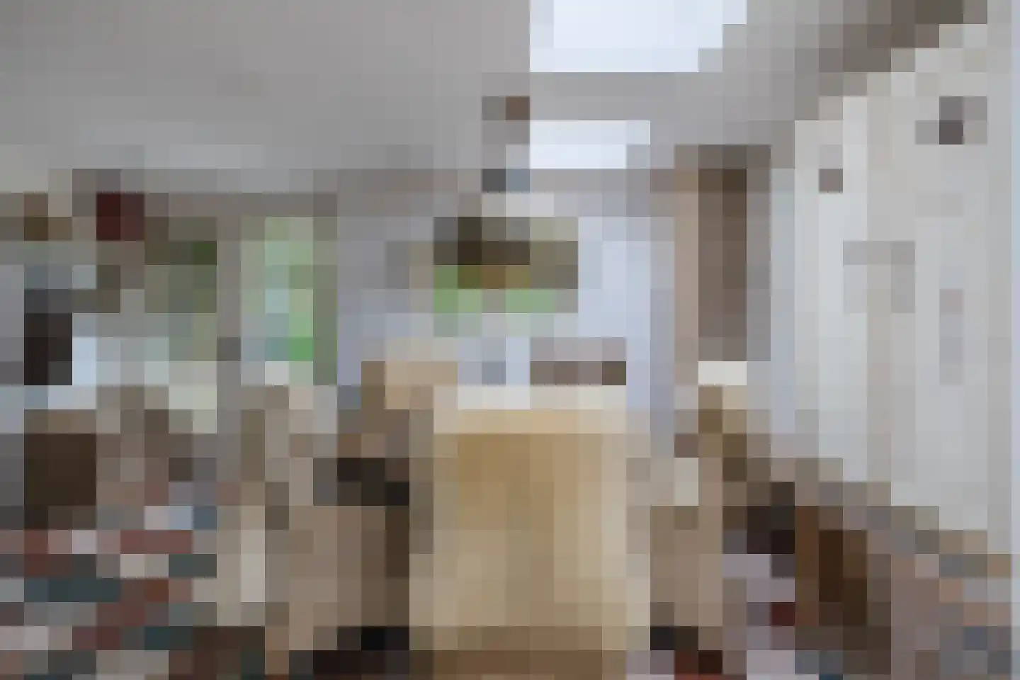 Laan van het Kwekebos 286 Emmen thumbnail 26