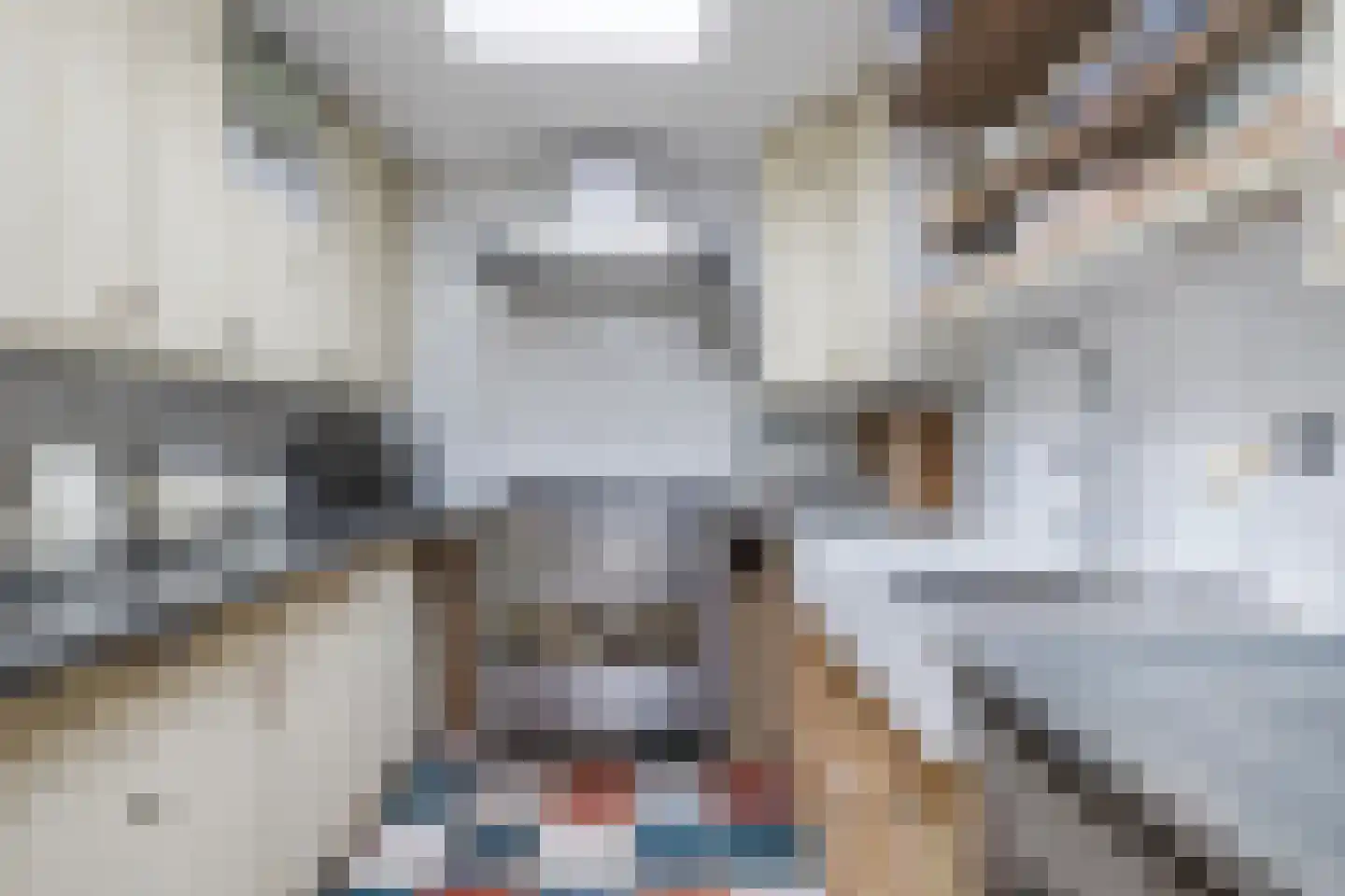Laan van het Kwekebos 286 Emmen thumbnail 27