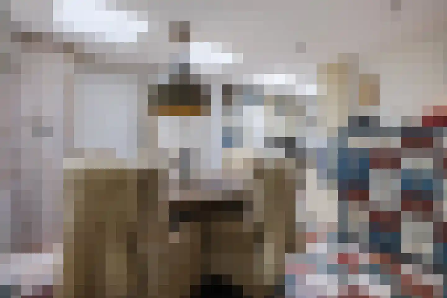 Laan van het Kwekebos 286 Emmen thumbnail 29