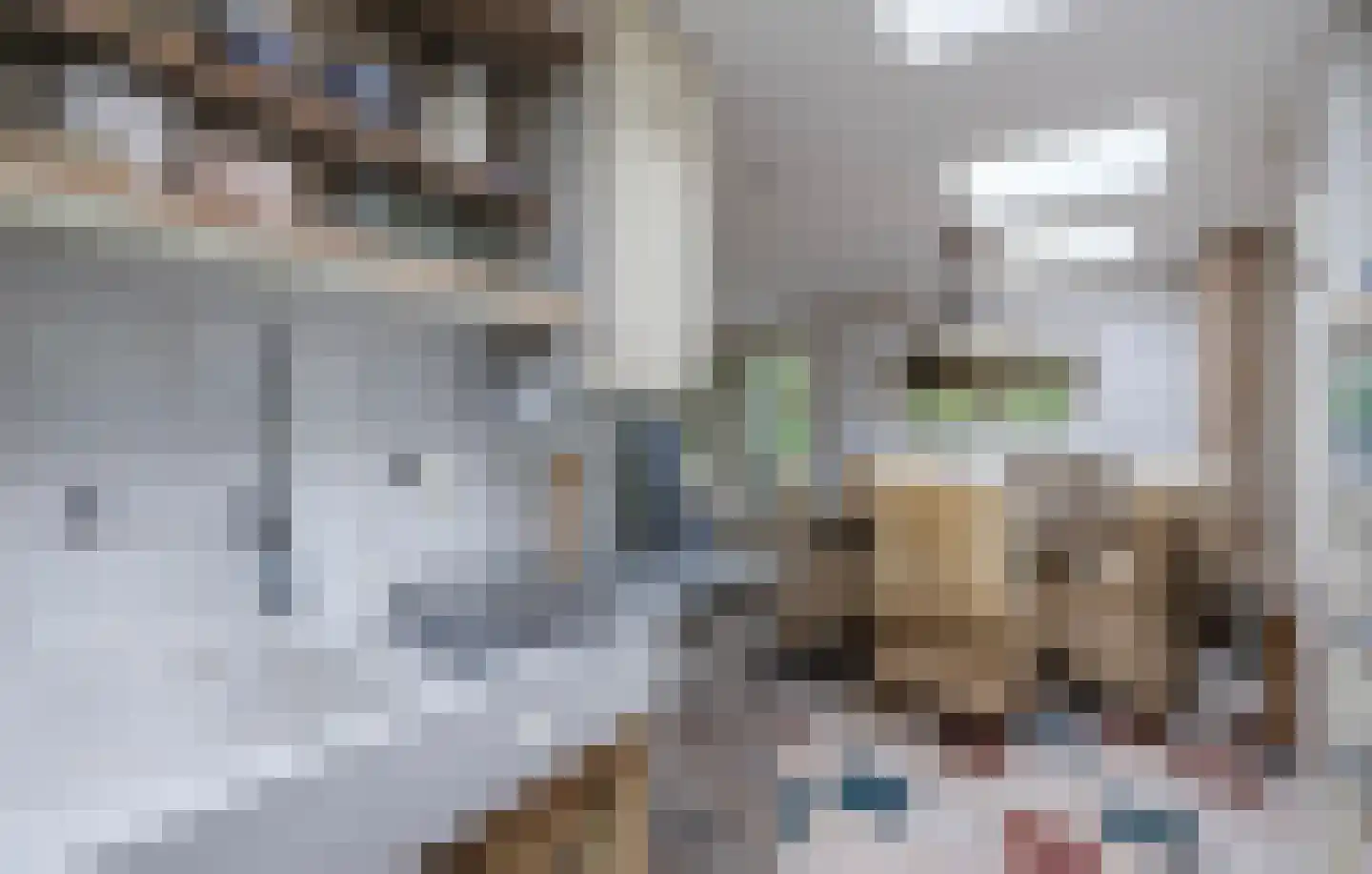 Laan van het Kwekebos 286 Emmen thumbnail 30