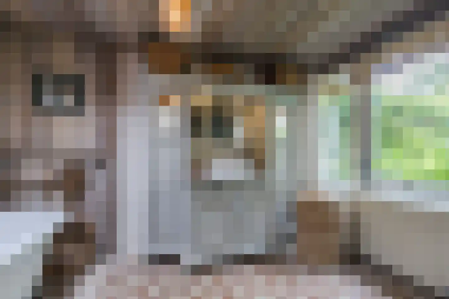 Laan van het Kwekebos 286 Emmen thumbnail 33