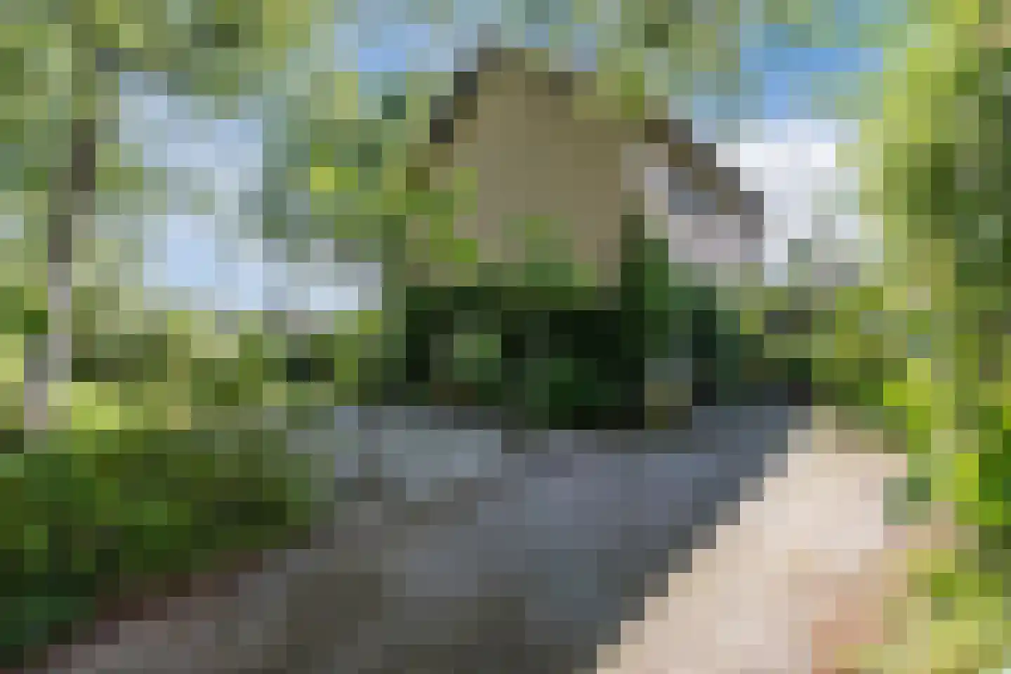 Laan van het Kwekebos 286 Emmen thumbnail 36