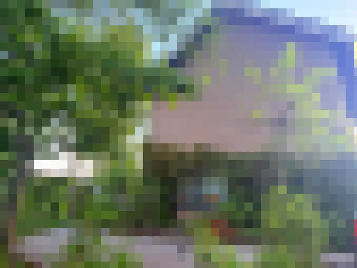Laan van het Kwekebos 286 Emmen thumbnail 37