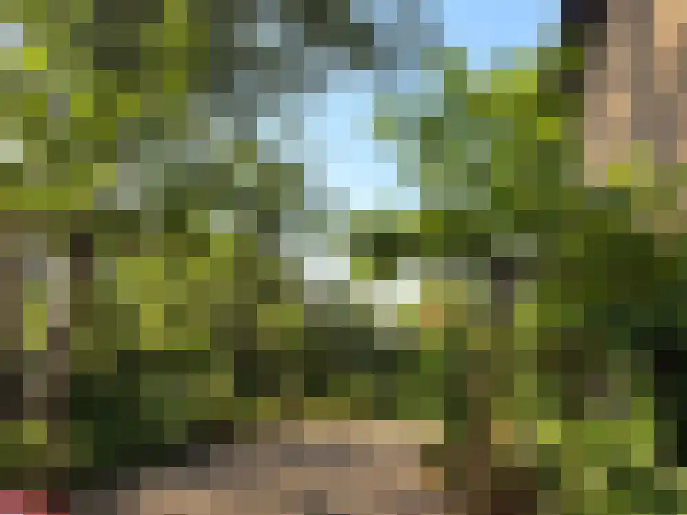Laan van het Kwekebos 286 Emmen thumbnail 38