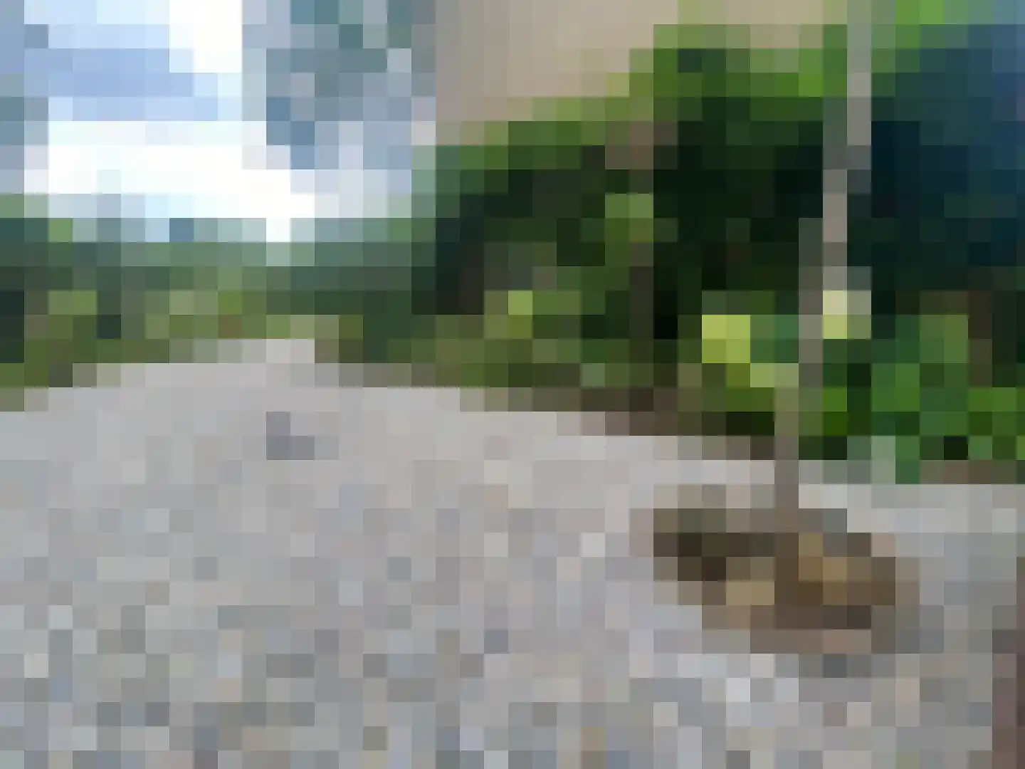 Laan van het Kwekebos 286 Emmen thumbnail 39