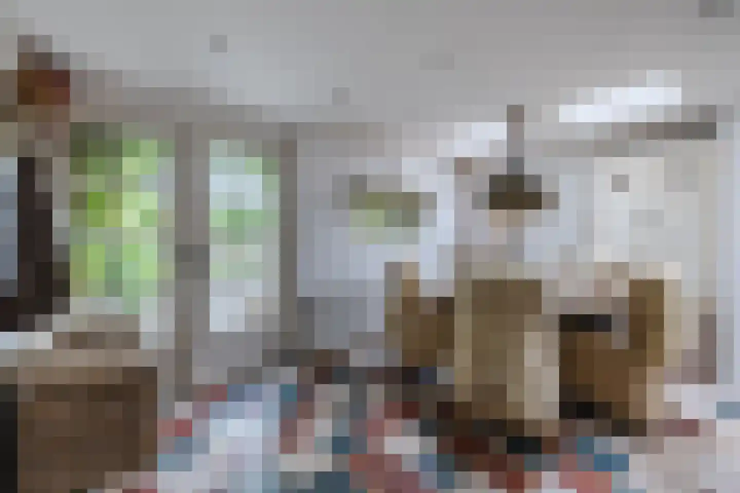 Laan van het Kwekebos 286 Emmen thumbnail 4