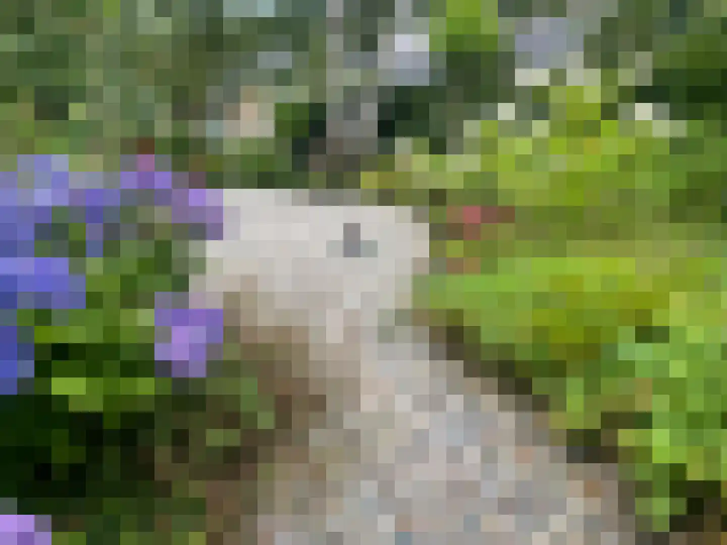 Laan van het Kwekebos 286 Emmen thumbnail 48