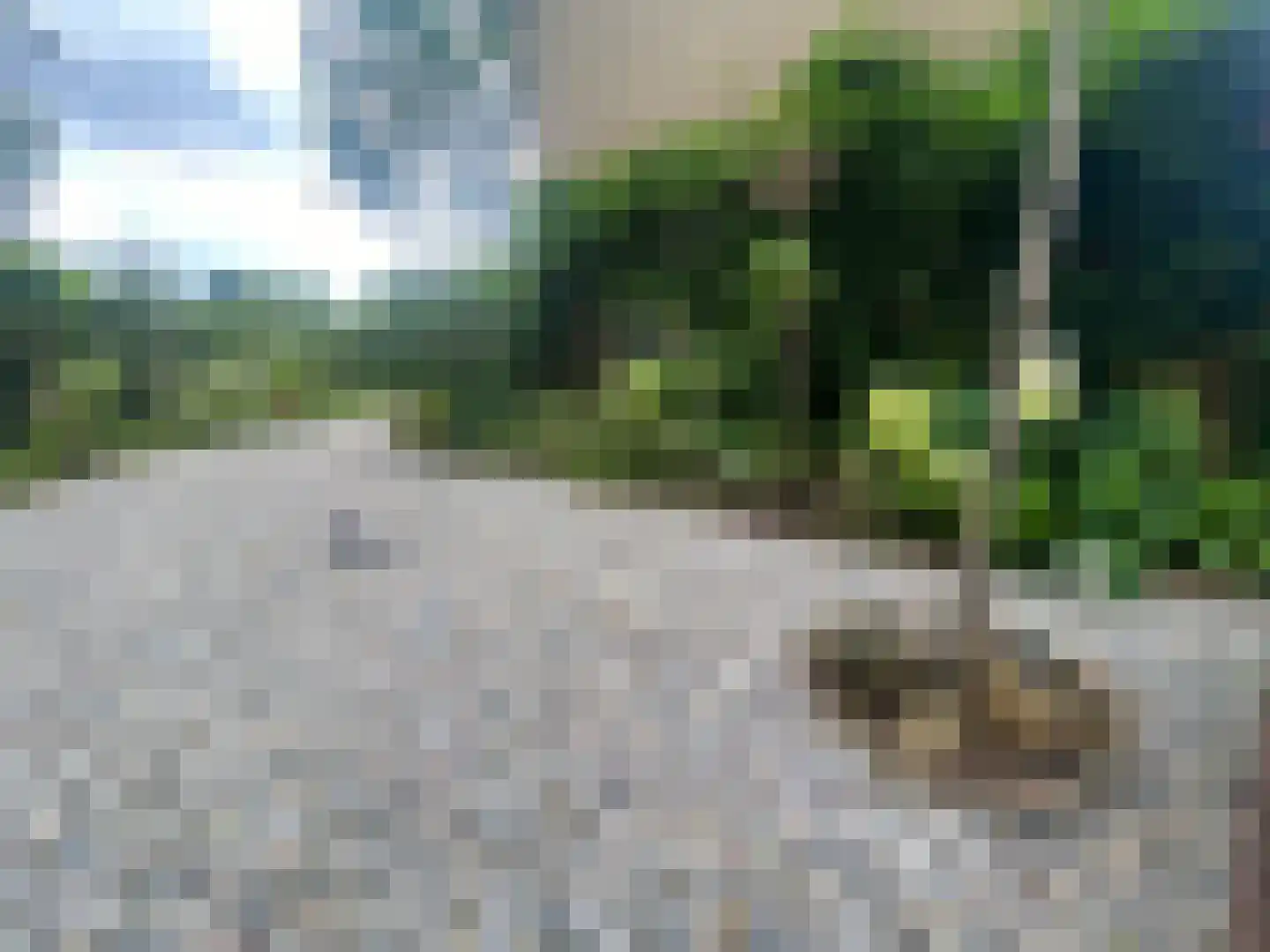 Laan van het Kwekebos 286 Emmen thumbnail 49