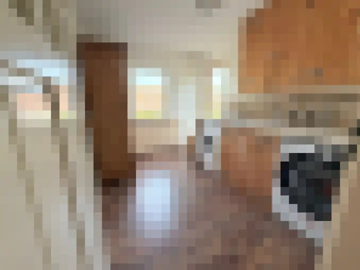 Laan van het Kwekebos 286 Emmen thumbnail 51