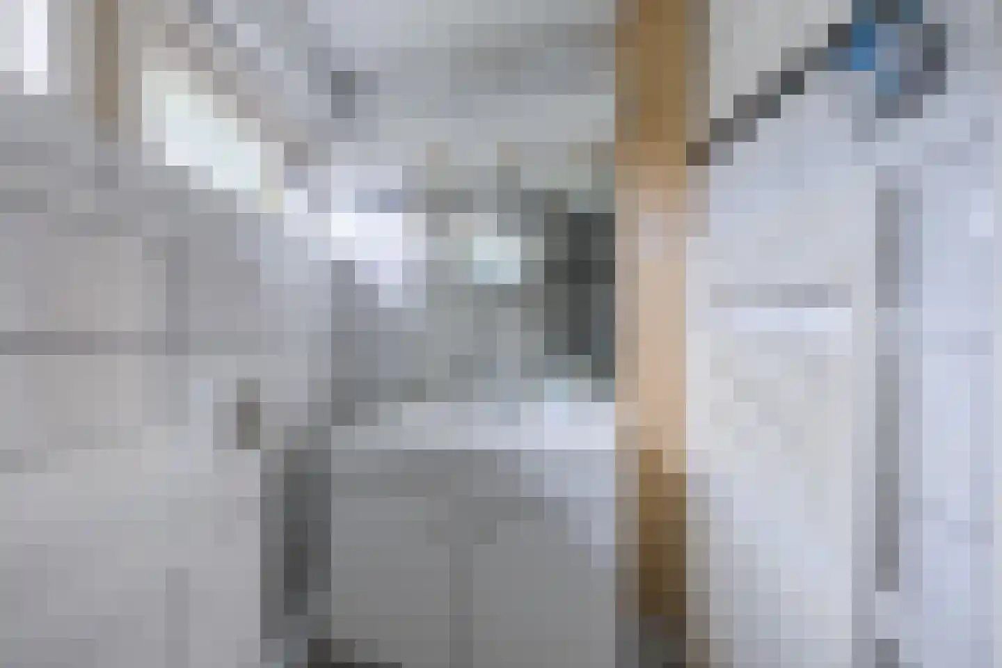 Laan van het Kwekebos 286 Emmen thumbnail 54