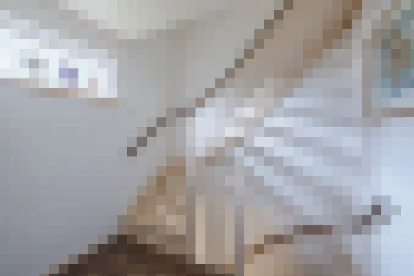 Laan van het Kwekebos 286 Emmen thumbnail 58