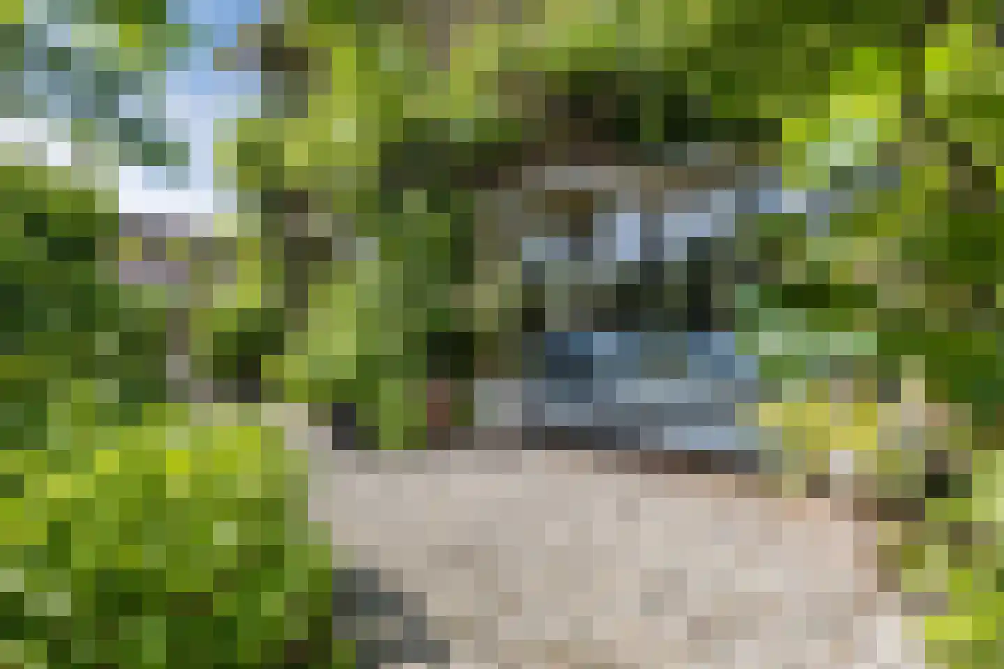 Laan van het Kwekebos 286 Emmen thumbnail 6