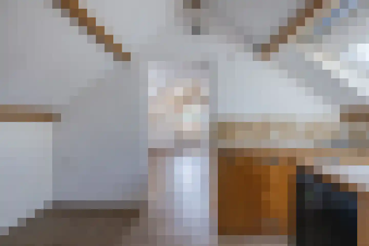 Laan van het Kwekebos 286 Emmen thumbnail 60