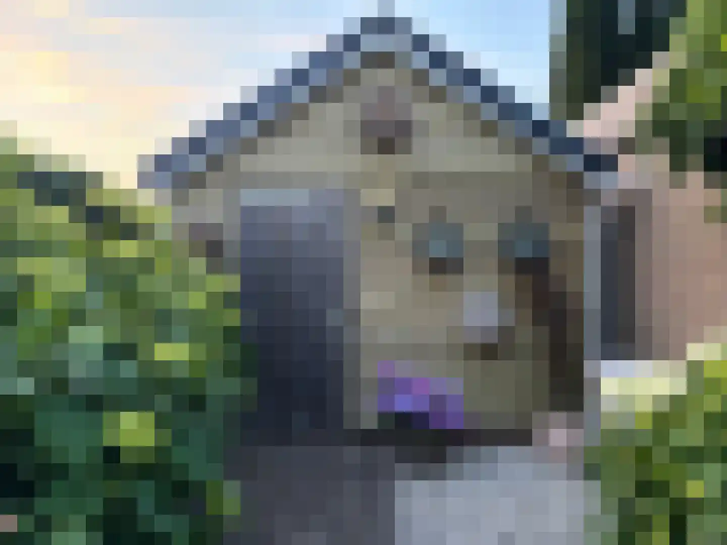 Laan van het Kwekebos 286 Emmen thumbnail 69