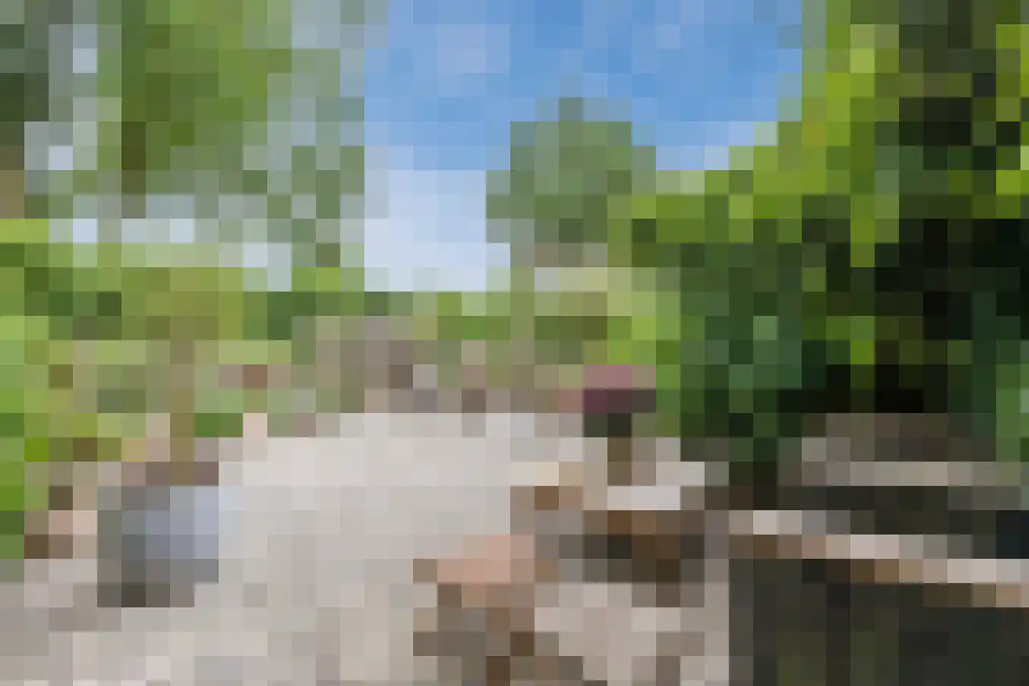 Laan van het Kwekebos 286 Emmen thumbnail 7