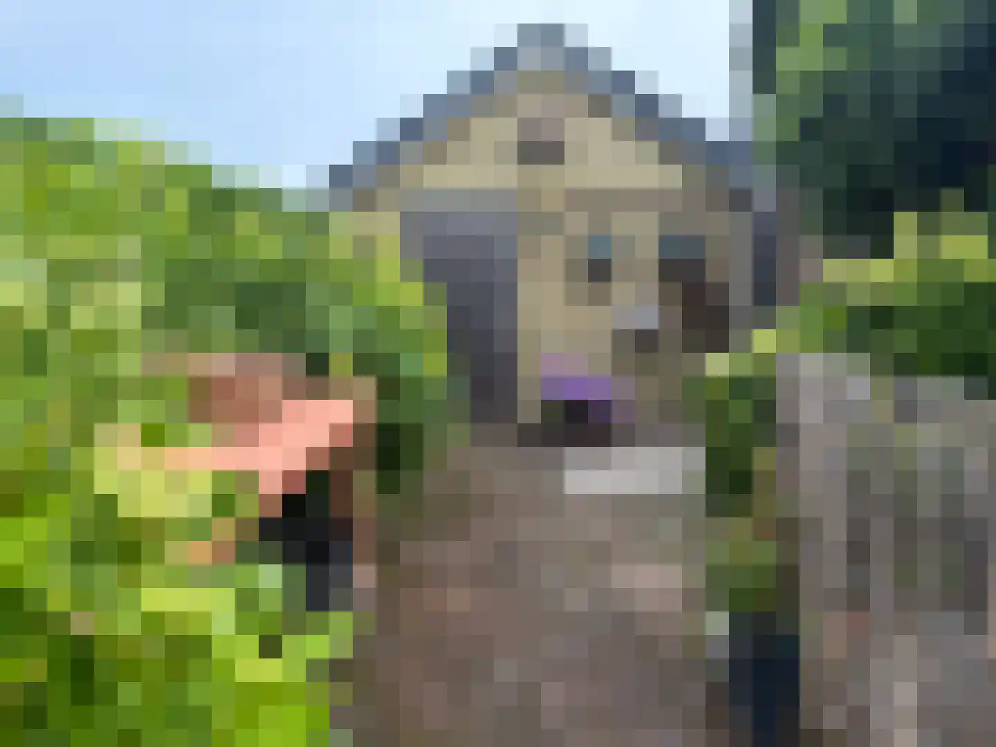 Laan van het Kwekebos 286 Emmen thumbnail 70