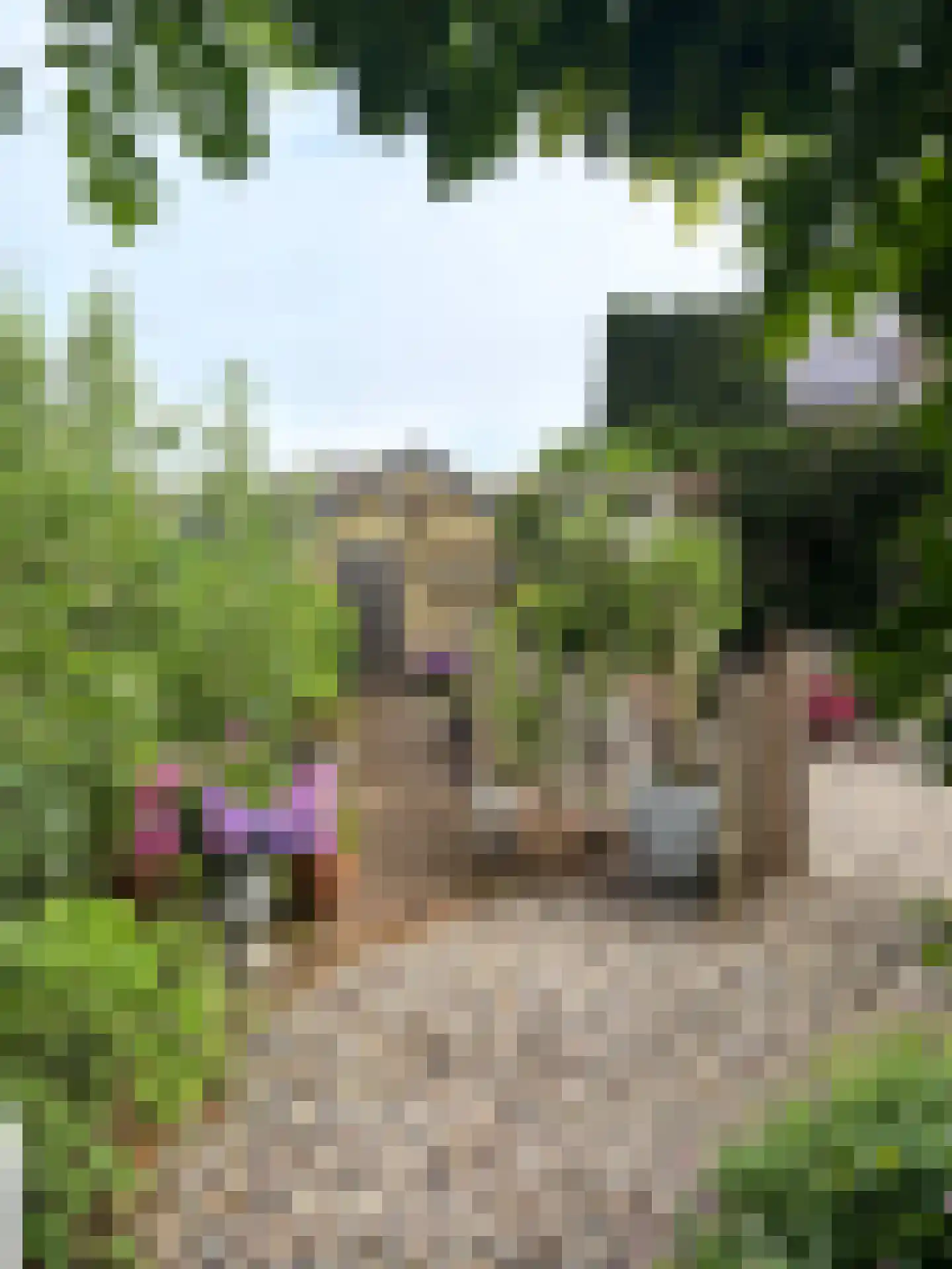 Laan van het Kwekebos 286 Emmen thumbnail 71