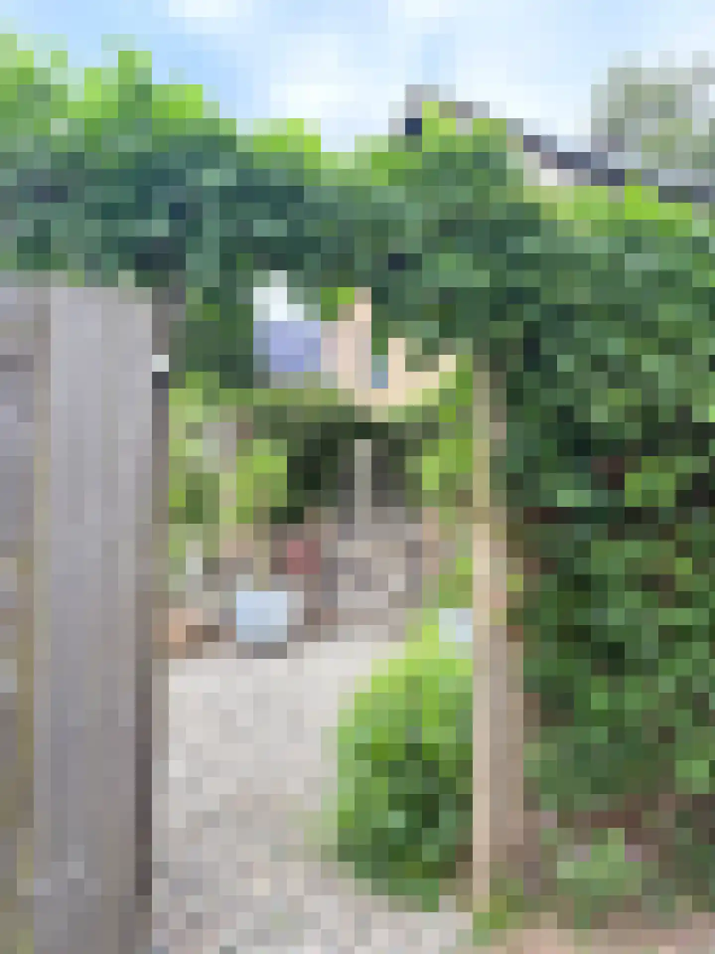 Laan van het Kwekebos 286 Emmen thumbnail 73