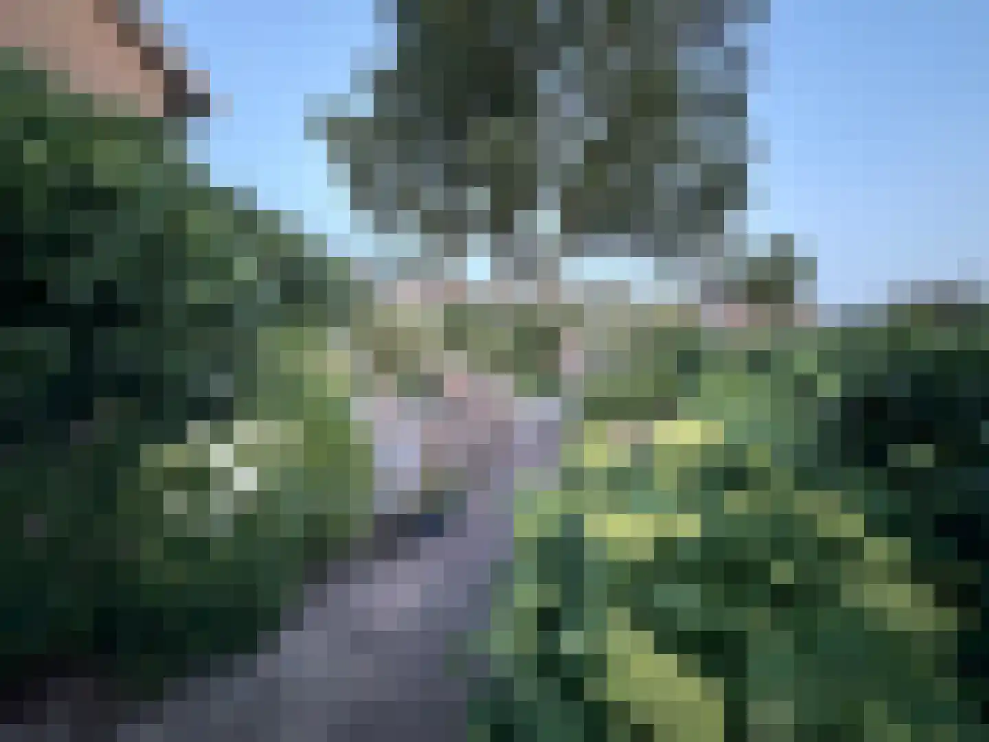 Laan van het Kwekebos 286 Emmen thumbnail 75