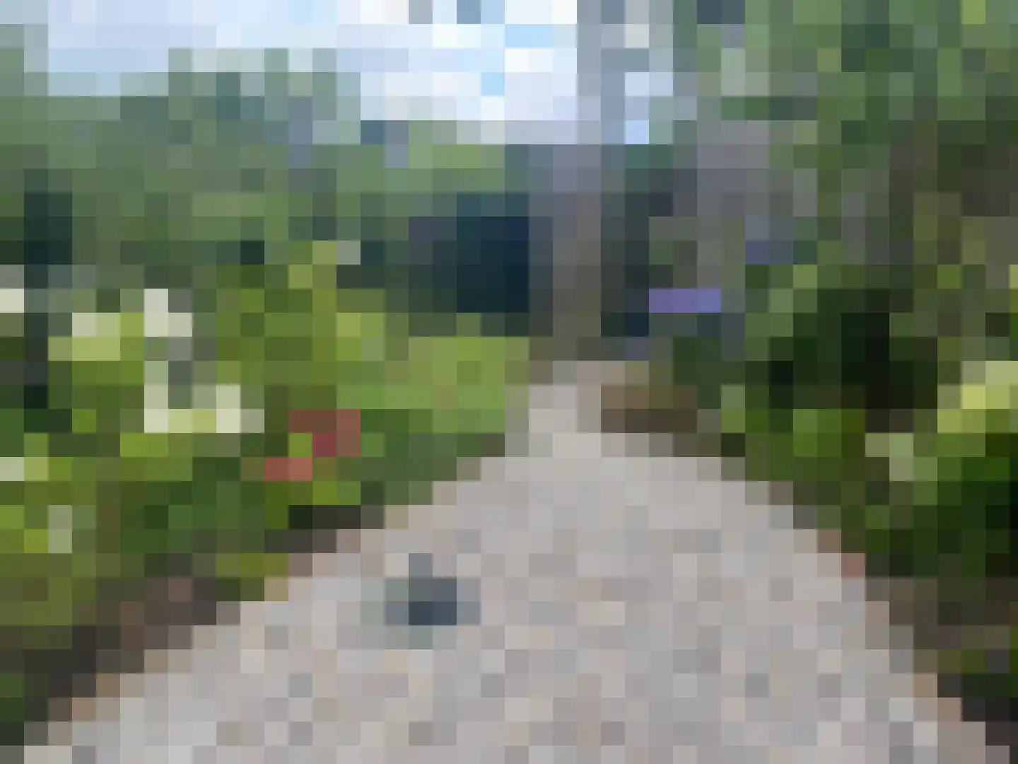 Laan van het Kwekebos 286 Emmen thumbnail 78