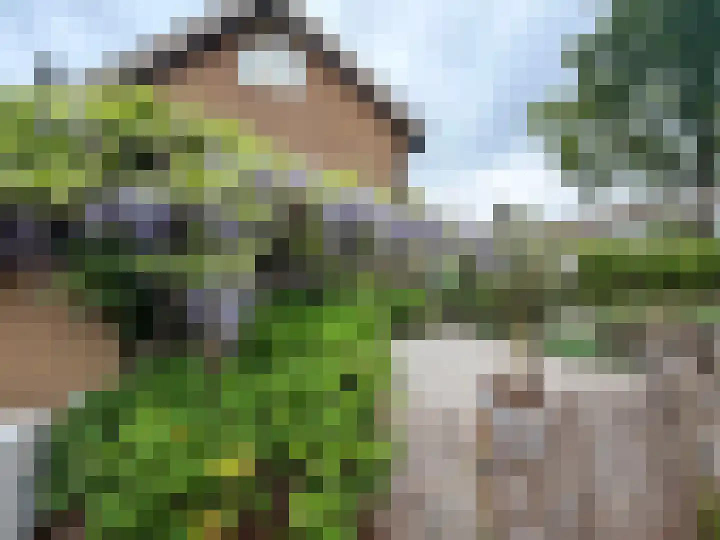 Laan van het Kwekebos 286 Emmen thumbnail 80