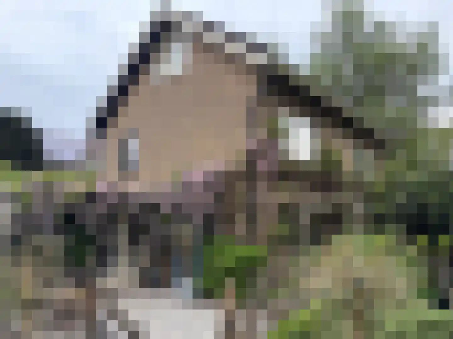 Laan van het Kwekebos 286 Emmen thumbnail 81