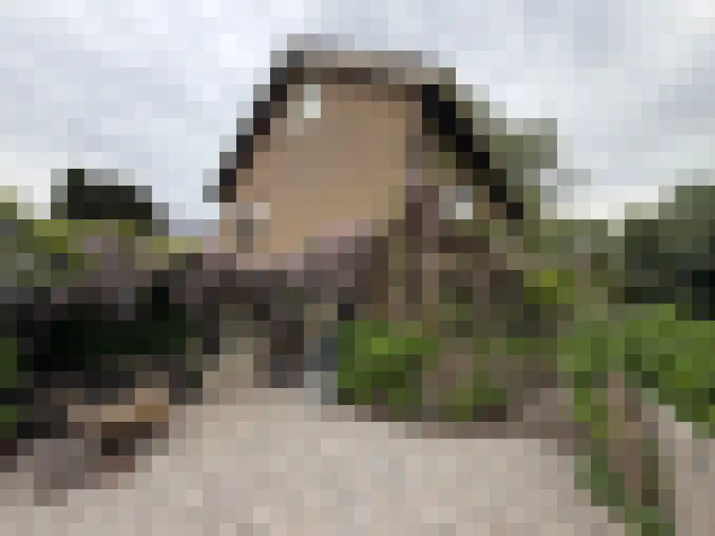 Laan van het Kwekebos 286 Emmen thumbnail 82