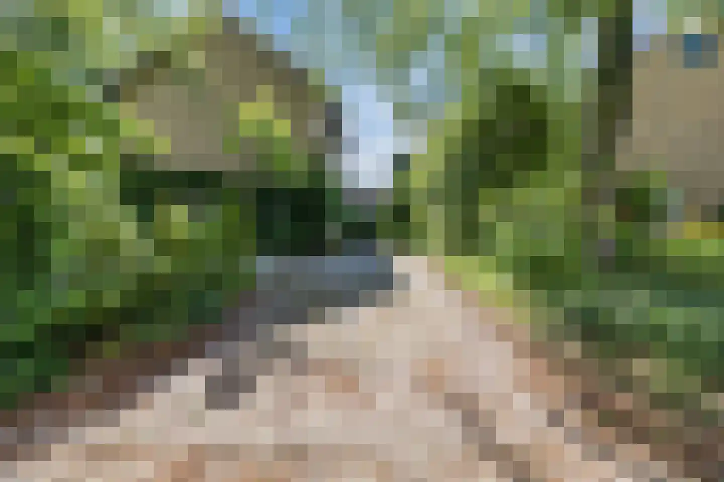 Laan van het Kwekebos 286 Emmen thumbnail 86