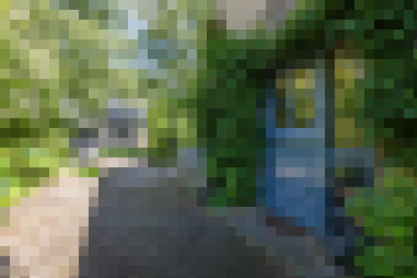 Laan van het Kwekebos 286 Emmen thumbnail 88