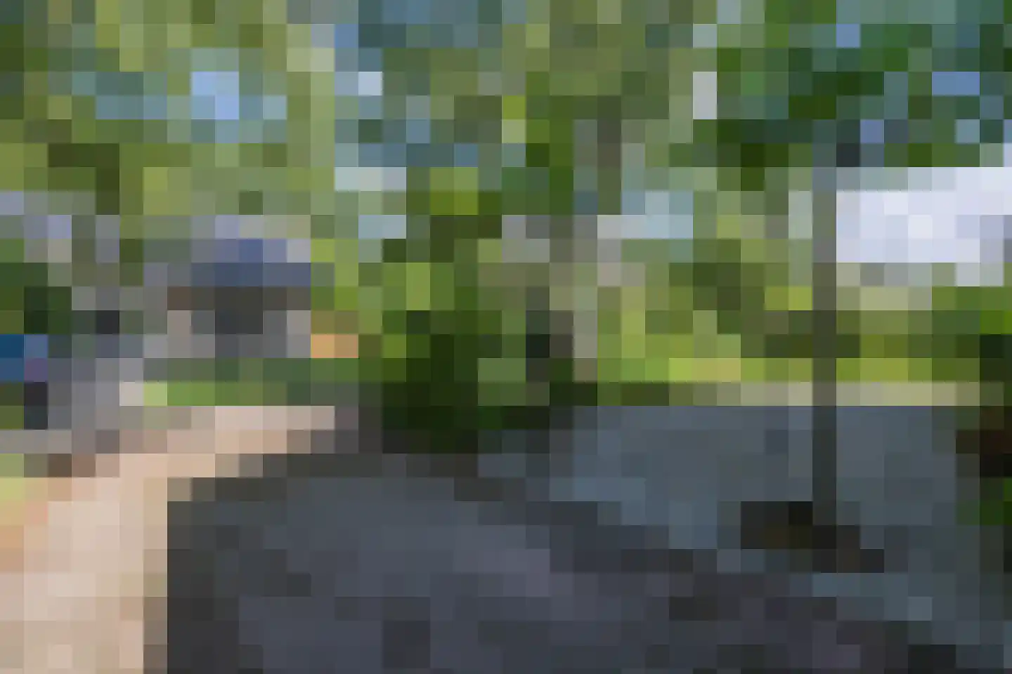 Laan van het Kwekebos 286 Emmen thumbnail 89