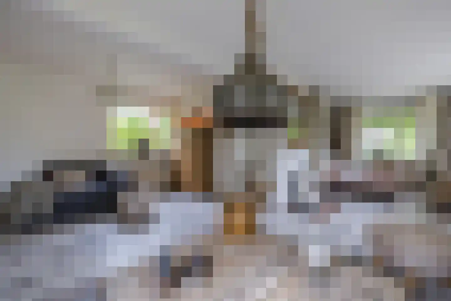 Laan van het Kwekebos 286 Emmen thumbnail 9