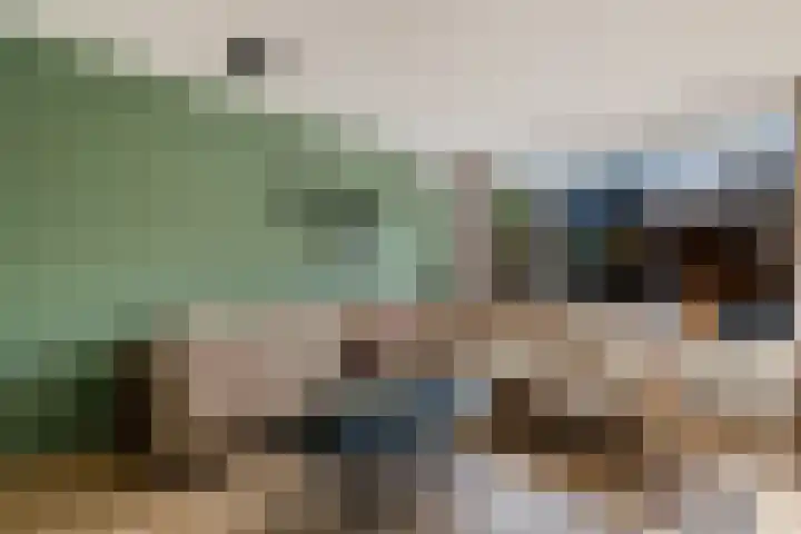 Laan van het Kwekebos 291 Emmen thumbnail 11