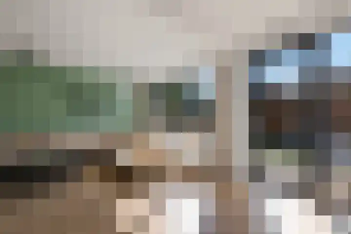 Laan van het Kwekebos 291 Emmen thumbnail 12