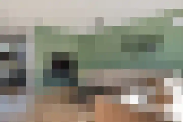 Laan van het Kwekebos 291 Emmen thumbnail 13