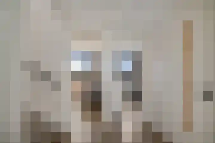 Laan van het Kwekebos 291 Emmen thumbnail 18