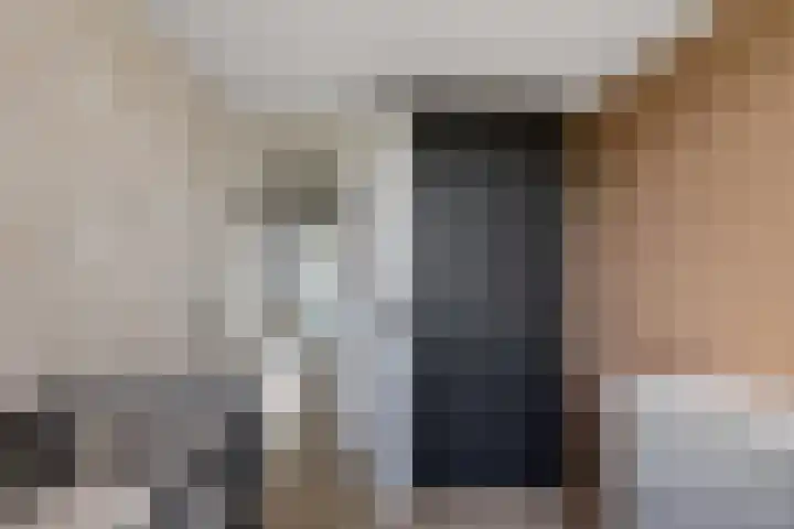 Laan van het Kwekebos 291 Emmen thumbnail 20