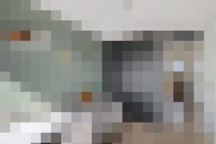 Laan van het Kwekebos 291 Emmen thumbnail 23