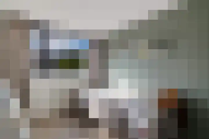 Laan van het Kwekebos 291 Emmen thumbnail 24
