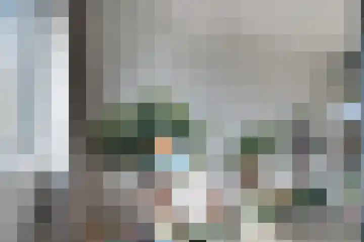Laan van het Kwekebos 291 Emmen thumbnail 26