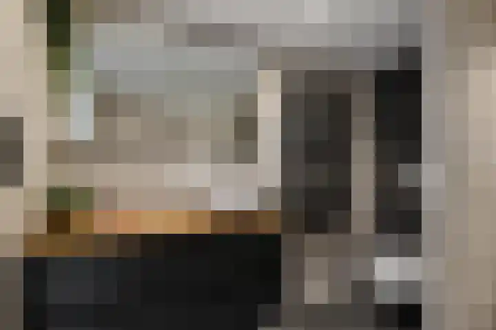 Laan van het Kwekebos 291 Emmen thumbnail 28