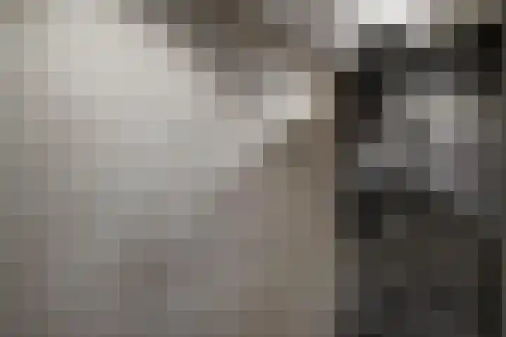Laan van het Kwekebos 291 Emmen thumbnail 29