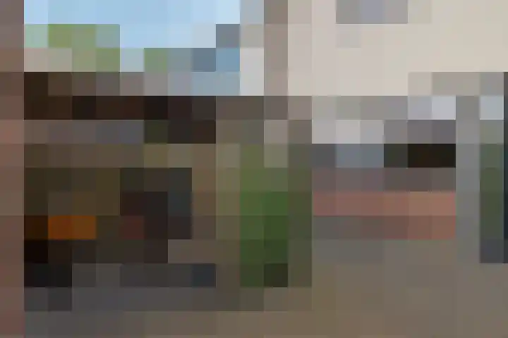 Laan van het Kwekebos 291 Emmen foto 3