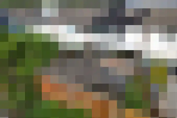 Laan van het Kwekebos 291 Emmen thumbnail 34
