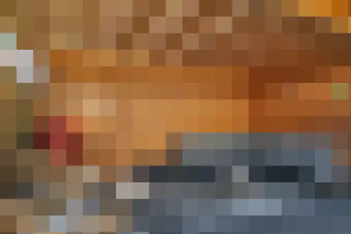 Laan van het Kwekebos 291 Emmen thumbnail 38