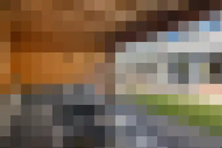 Laan van het Kwekebos 291 Emmen thumbnail 39