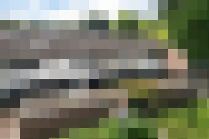 Laan van het Kwekebos 291 Emmen thumbnail 40