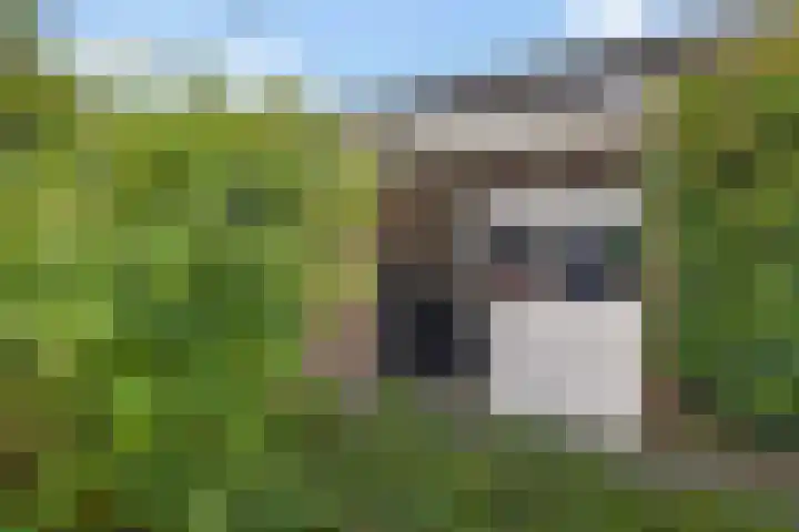 Laan van het Kwekebos 291 Emmen thumbnail 41