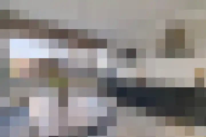 Laan van het Kwekebos 291 Emmen thumbnail 6