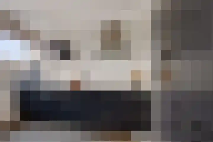 Laan van het Kwekebos 291 Emmen thumbnail 7